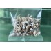 Aquarium Accessories