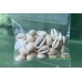 Aquarium Accessories