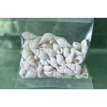 Aquarium Accessories
