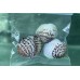 Aquarium Accessories