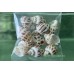 Aquarium Accessories
