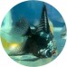 Angelfish