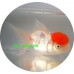 Goldfish