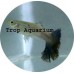 Guppy