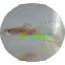 Guppy