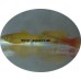 Platy